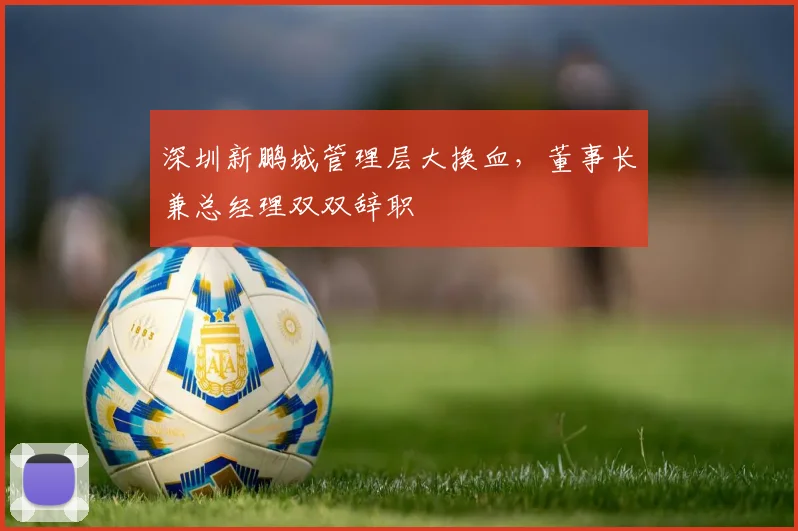 深圳新鹏城管理层大换血,董事长兼总经理双双辞职